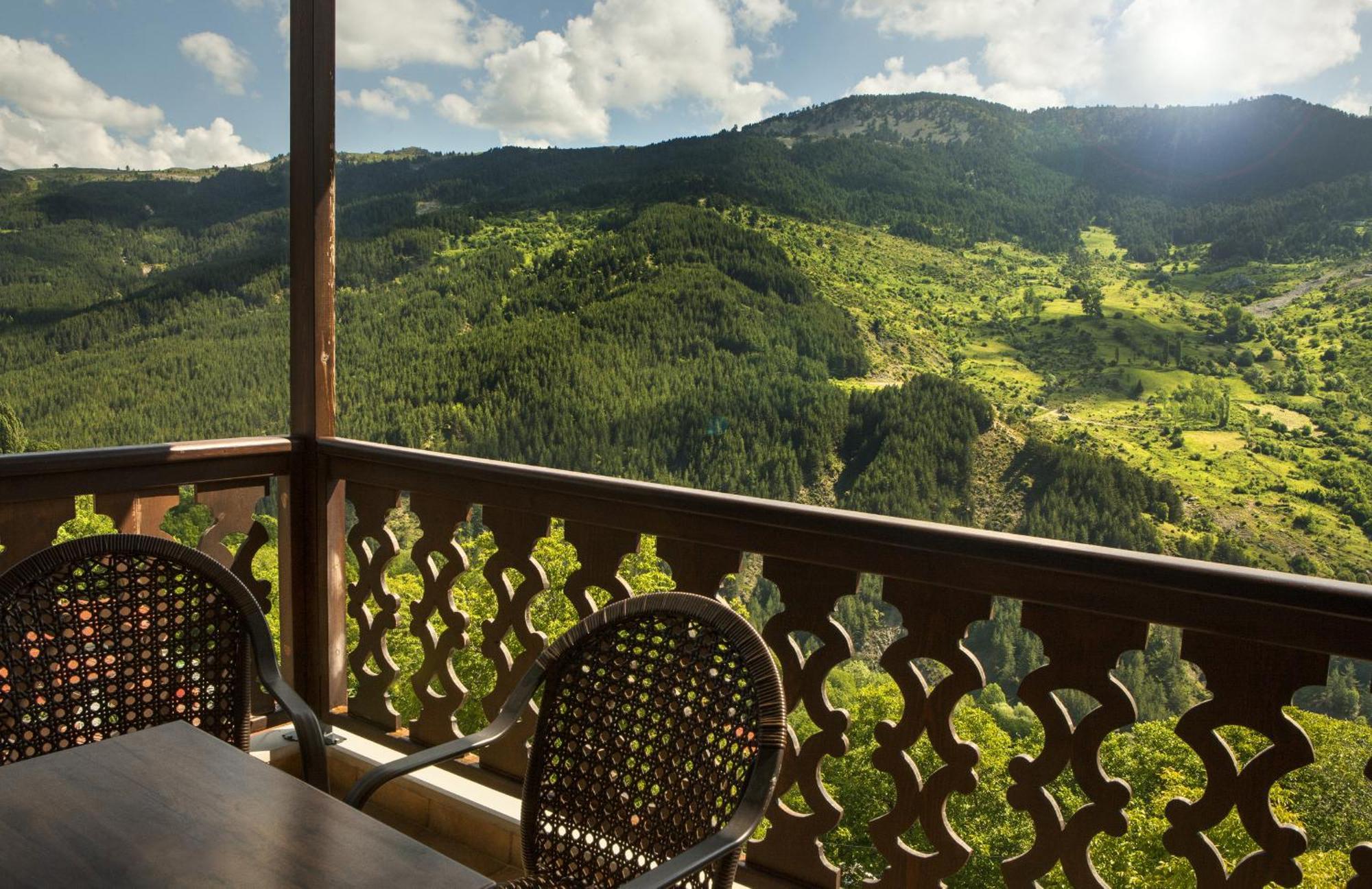 Aroma Dryos Spa & Eco Hotel Metsovo Bagian luar foto