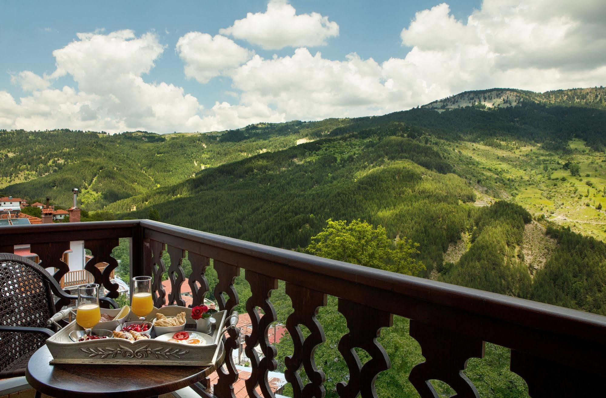 Aroma Dryos Spa & Eco Hotel Metsovo Bagian luar foto